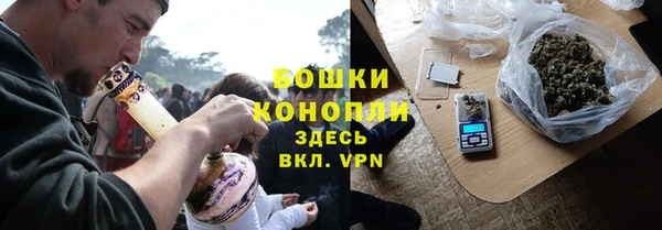 дурь Гусиноозёрск
