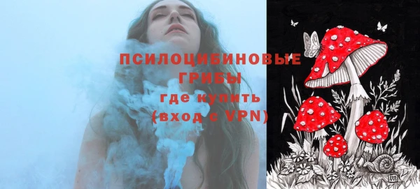 дурь Гусиноозёрск