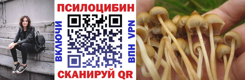 Купить закладки Няндома Галлюциногенные грибы MAGIC MUSHROOMS